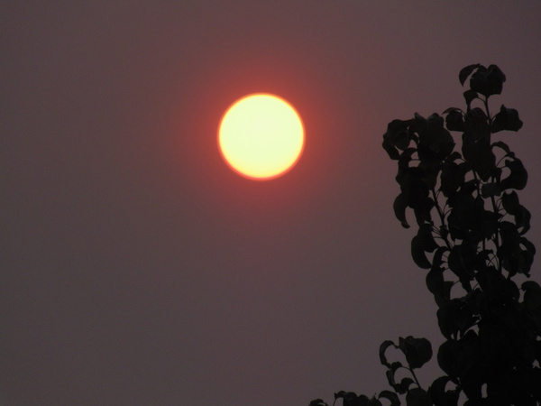july 6 2015 forest fire red sun