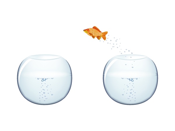 Jumping Goldfish