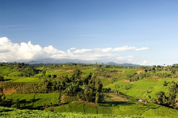 kenya landscape scenic mountains