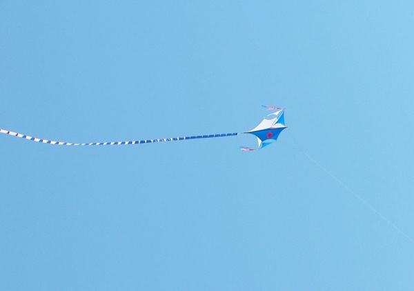 kite flying in the air 
