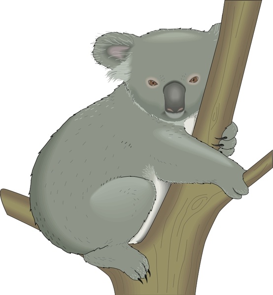 Download Koala Free Vector In Open Office Drawing Svg Svg Vector Illustration Graphic Art Design Format Format For Free Download 237 35kb
