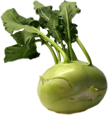 kohlrabi vegetables green