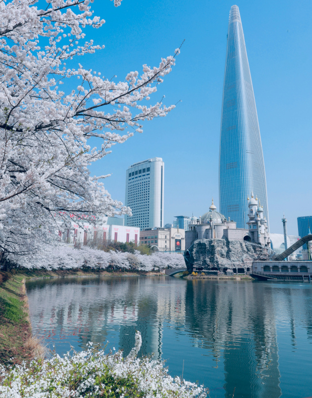 korea city picture elegant modern architecture cherry blossom lake reflection