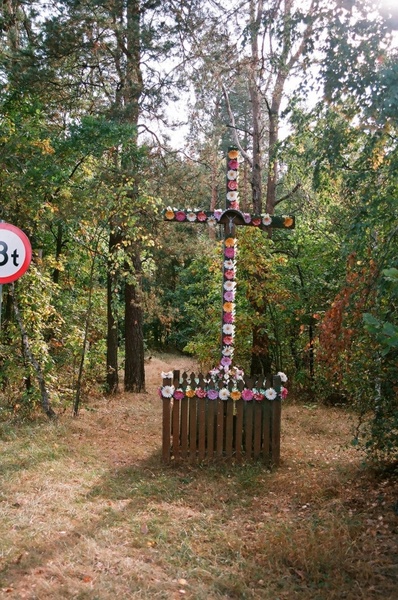 kozlowiecki landscape park 