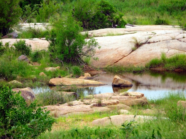 kruger national park pools stones 