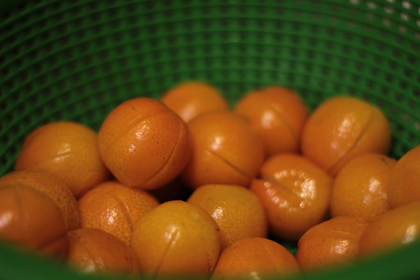 kumquats 