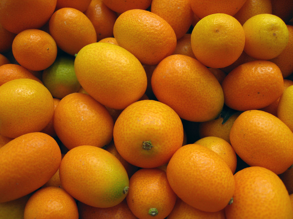 kumquats 
