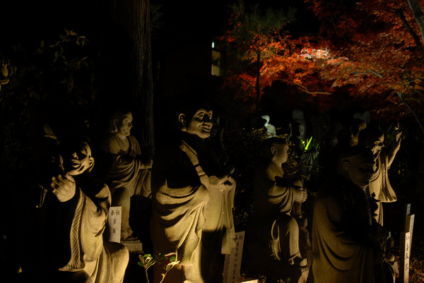 kyoto autumn leaves japan night shot