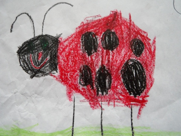 ladybug beetle children drawing