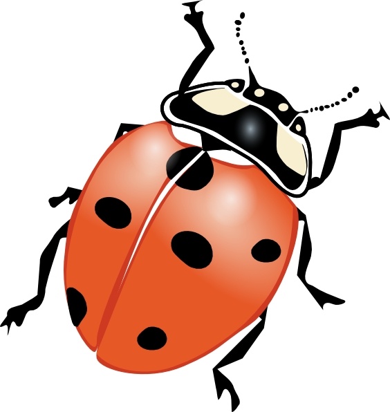 Download Ladybug Clip Art Free Vector In Open Office Drawing Svg Svg Vector Illustration Graphic Art Design Format Format For Free Download 145 90kb