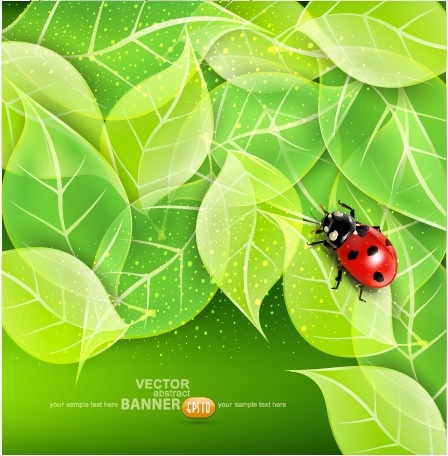 ladybug with leaves vector backgrounds