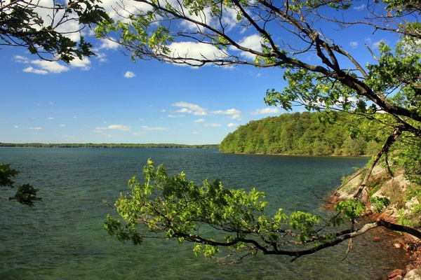 lake and shore at wellesley island state park new york