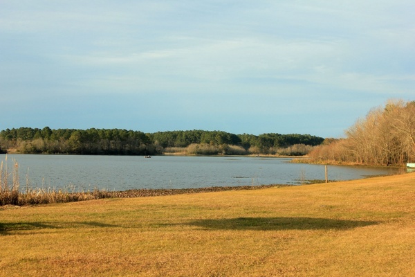 lake at reed bingham state park georgia 