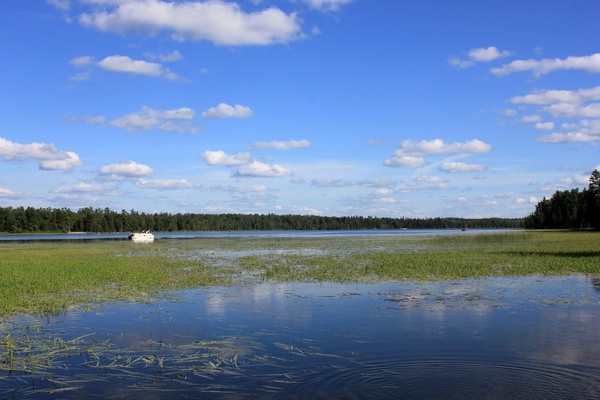 lake itasca on a clear day at lake itasca state park minnesota 
