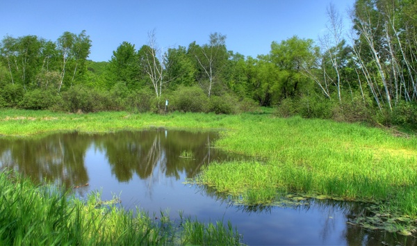 landscape and pond at hoffman hills state recreation area wisconsin