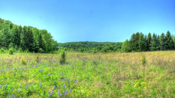 landscape beneath blue skies at hoffman hills state recreation area wisconsin