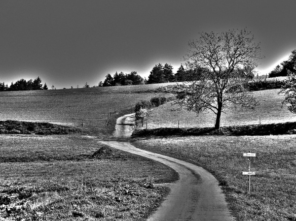 landscape black and white
