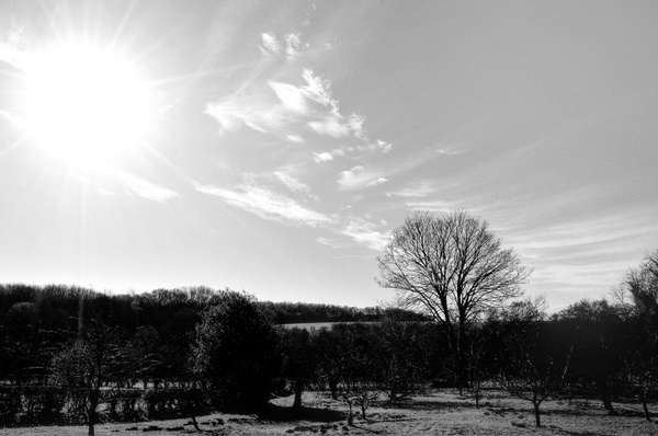 landscape black and white
