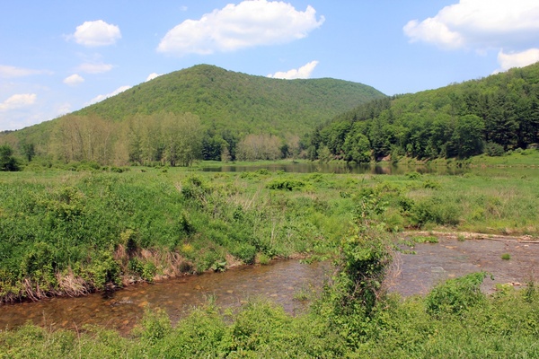 landscape hills and stream at sinnemahoning state park pennsylvania 