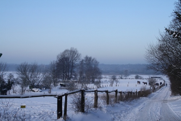 landscape nature winter