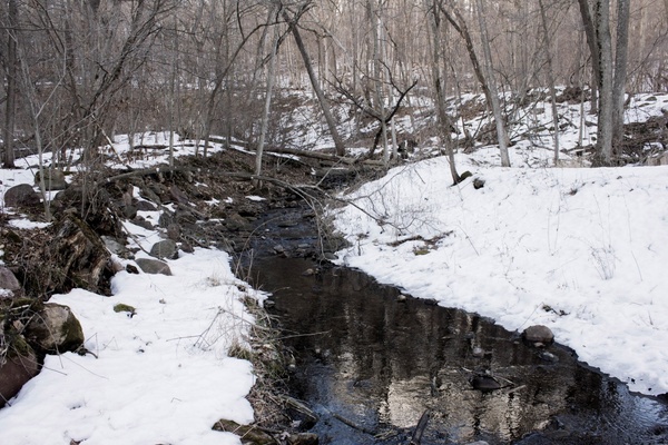 landscape of the creek through parfrey039s glen in wisconsin free stock photo 