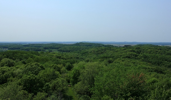 landscape of the forest and hills at hoffman hills state recreation area wisconsin