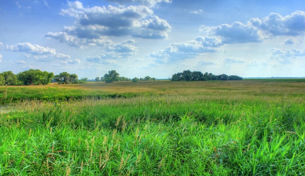 landscape of the marsh at horicon national wildlife refuge 