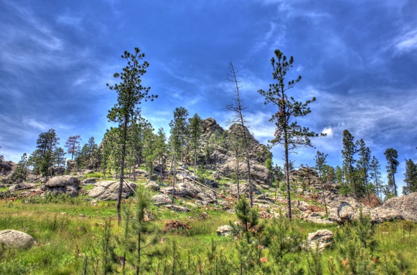 landscape on the mountain in custer state park south dakota