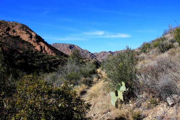 landscape on the mountain path at big bend national park texas