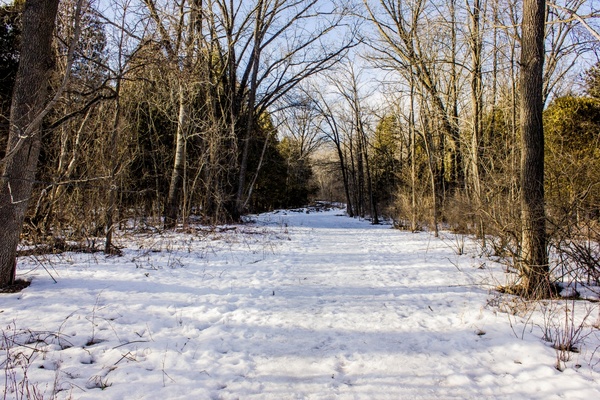 landscape photo of a snowy trail at parfrey039s glen wisconsin free stock photo 
