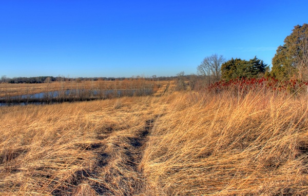 landscape with lake at weldon springs state natural area missouri 