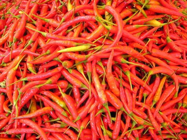 laos chili chilli pepper