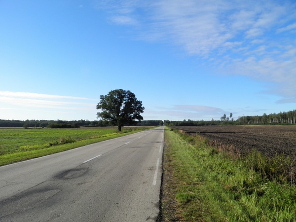 latvia landscape road
