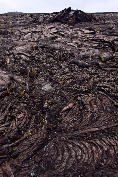 lava field 1