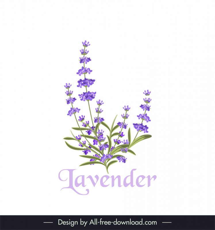 lavender design elements elegant classical design 