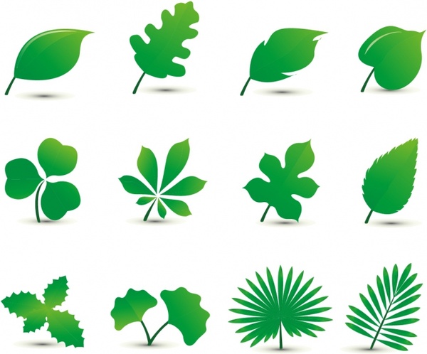 tea leaf vector free download