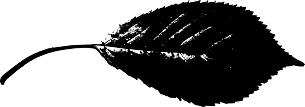 leaf silhouette 2