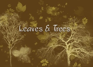 Leaves and trees