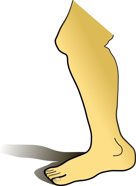 Download Leg clip art Free vector in Open office drawing svg ( .svg ...