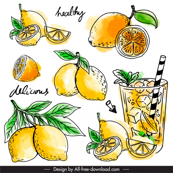 lemon juice design elements retro handdrawn sketch