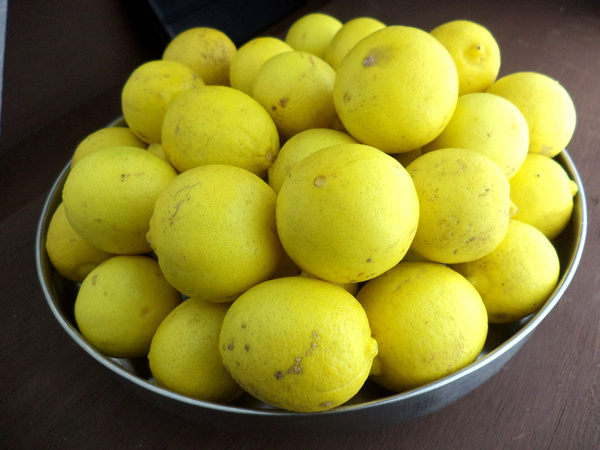 lemons ready for pickling