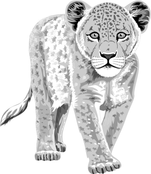 Download Leopard Free Vector In Open Office Drawing Svg Svg Vector Illustration Graphic Art Design Format Format For Free Download 372 94kb