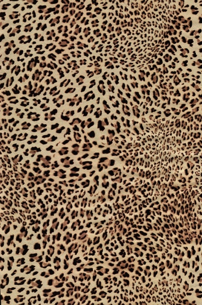 leopard flannel highdefinition picture 6