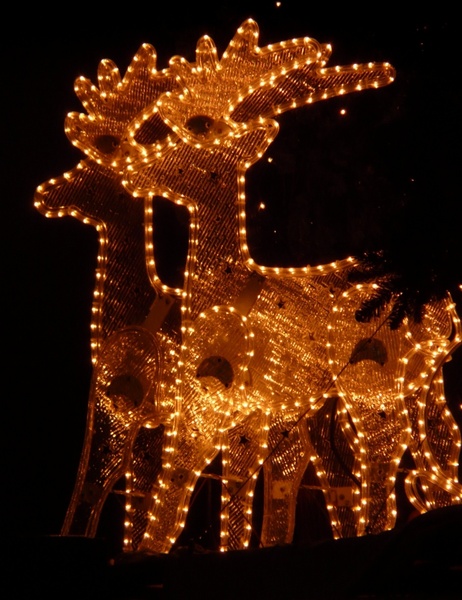 lichterkette christmas reindeer
