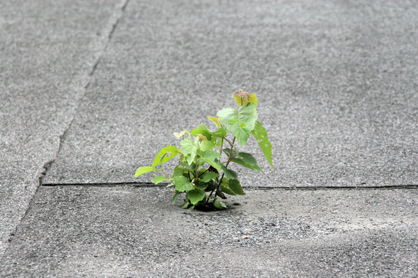 life unstoppable
