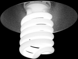 light bulb efficient