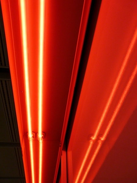 lighting neon light red