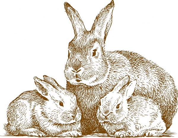 Line art animal rabbit vector Vectors graphic art designs in editable