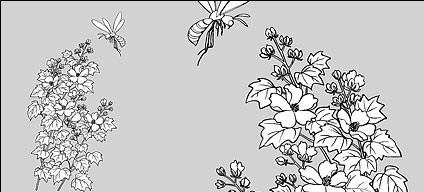 Line drawing of flowers -15