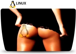Linux bum